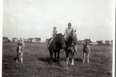 20-Heste-paa-Staevnbakgaard